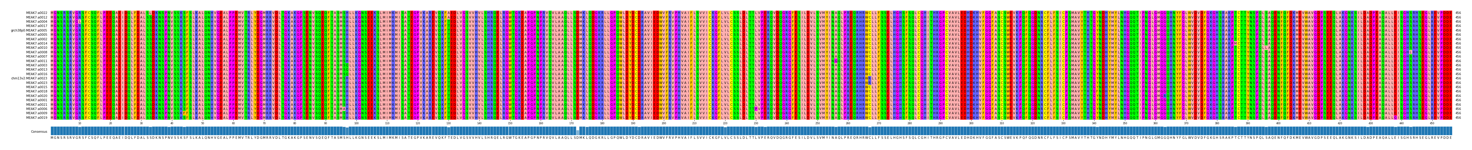 Multiple Alignments (by translate haplotype similarity)