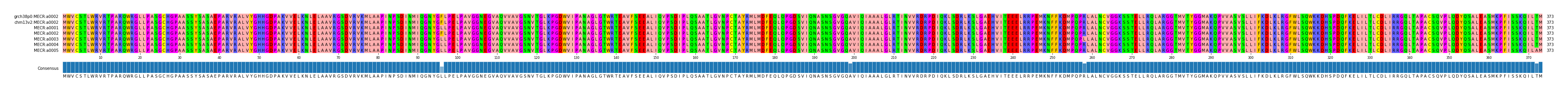 Multiple Alignments (by translate haplotype frequency)