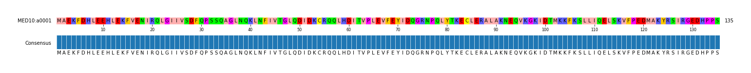 Multiple Alignments (by translate haplotype similarity)