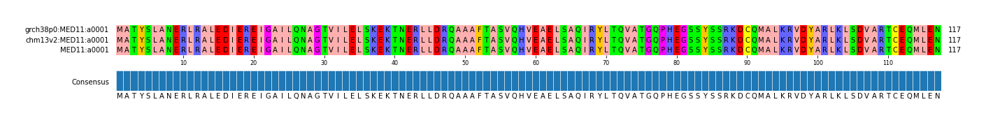 Multiple Alignments (by translate haplotype similarity)