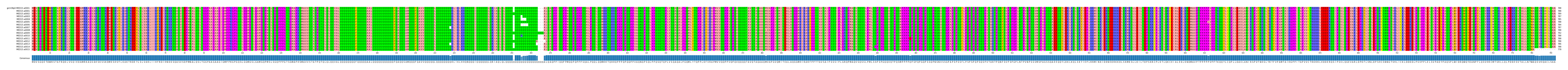 Multiple Alignments (by translate haplotype frequency)