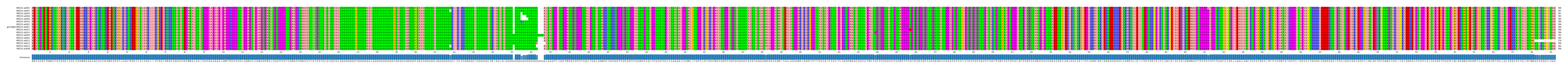 Multiple Alignments (by translate haplotype similarity)