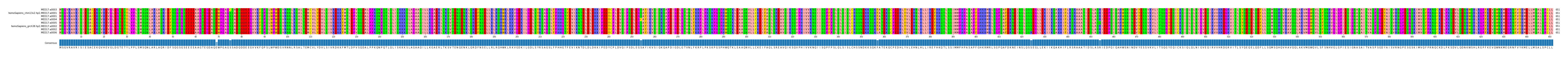 Multiple Alignments (by translate haplotype similarity)