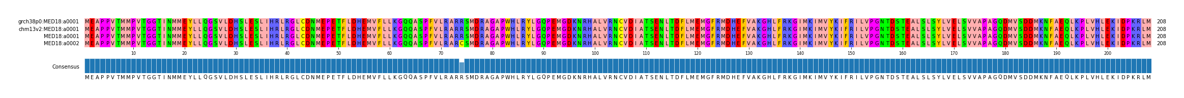 Multiple Alignments (by translate haplotype similarity)