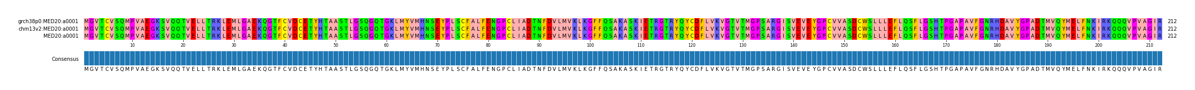 Multiple Alignments (by translate haplotype similarity)