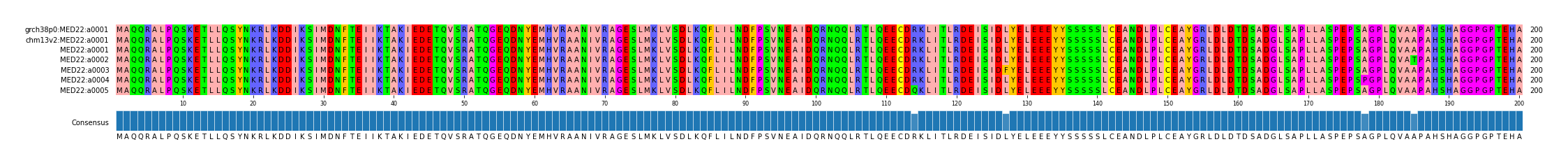 Multiple Alignments (by translate haplotype frequency)