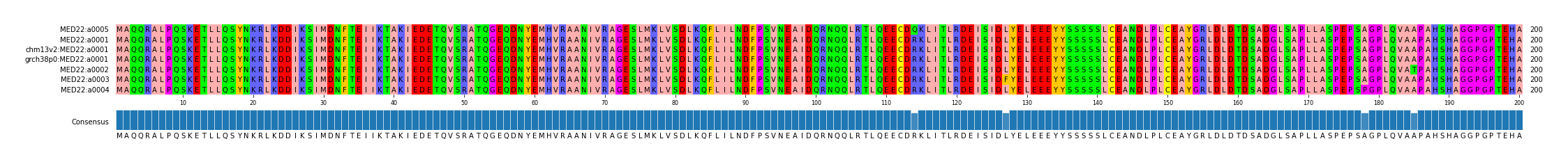 Multiple Alignments (by translate haplotype similarity)