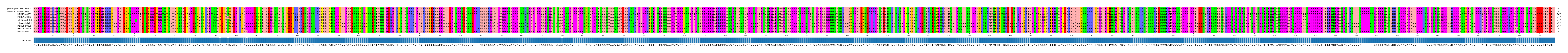 Multiple Alignments (by translate haplotype frequency)