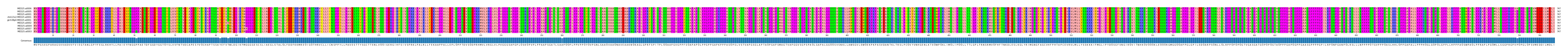 Multiple Alignments (by translate haplotype similarity)