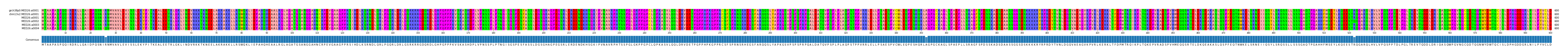 Multiple Alignments (by translate haplotype frequency)