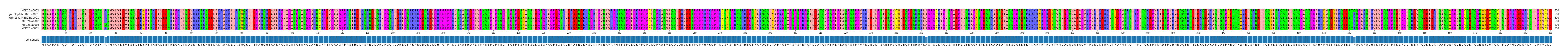 Multiple Alignments (by translate haplotype similarity)