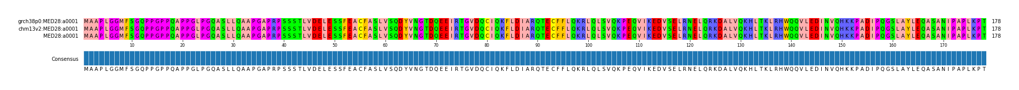 Multiple Alignments (by translate haplotype similarity)