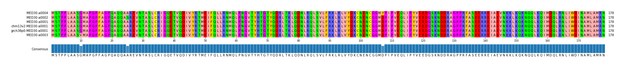 Multiple Alignments (by translate haplotype similarity)
