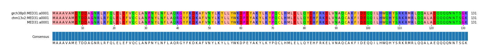 Multiple Alignments (by translate haplotype similarity)