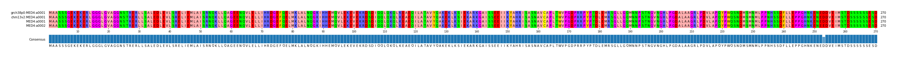 Multiple Alignments (by translate haplotype similarity)