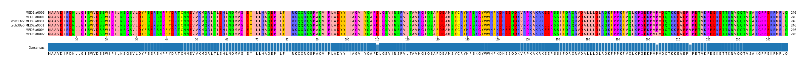Multiple Alignments (by translate haplotype similarity)