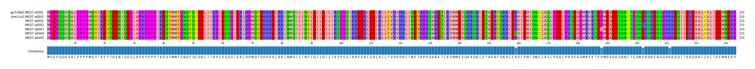 Multiple Alignments (by translate haplotype frequency)