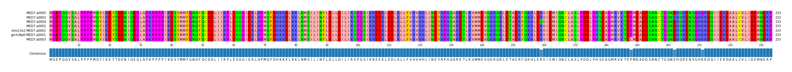 Multiple Alignments (by translate haplotype similarity)