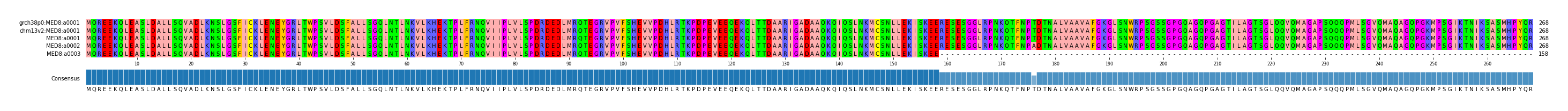 Multiple Alignments (by translate haplotype frequency)