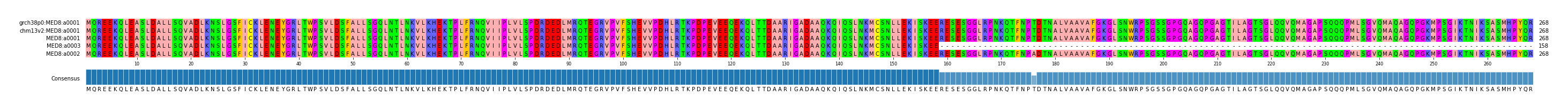 Multiple Alignments (by translate haplotype similarity)