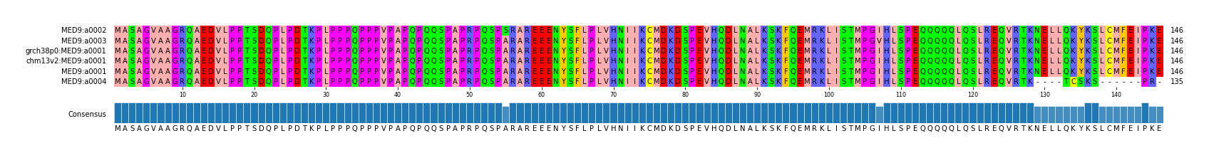 Multiple Alignments (by translate haplotype similarity)