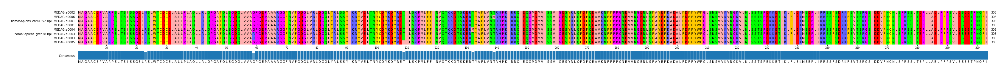 Multiple Alignments (by translate haplotype similarity)