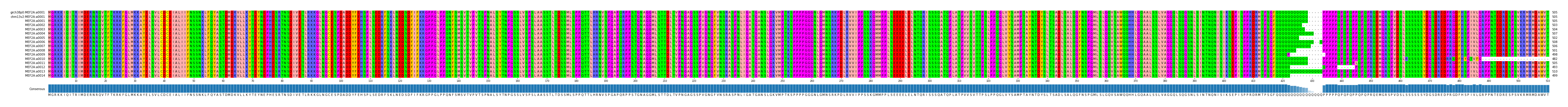 Multiple Alignments (by translate haplotype frequency)
