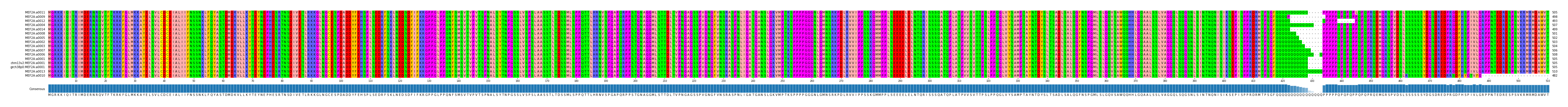 Multiple Alignments (by translate haplotype similarity)