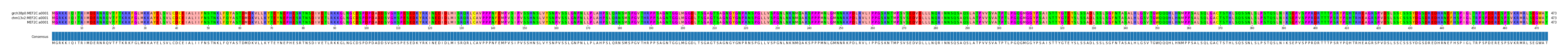 Multiple Alignments (by translate haplotype similarity)