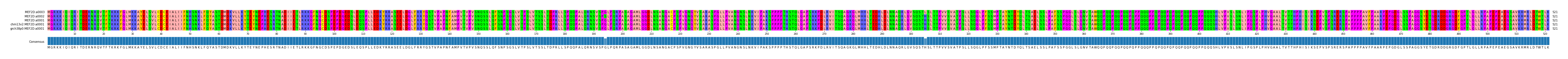 Multiple Alignments (by translate haplotype similarity)