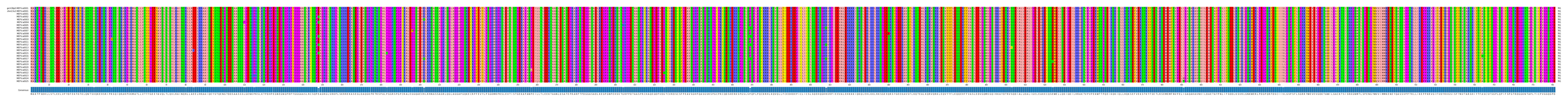 Multiple Alignments (by translate haplotype frequency)