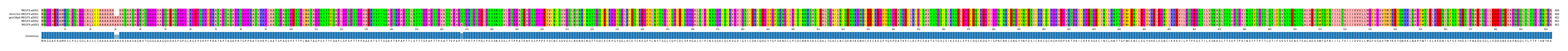 Multiple Alignments (by translate haplotype similarity)