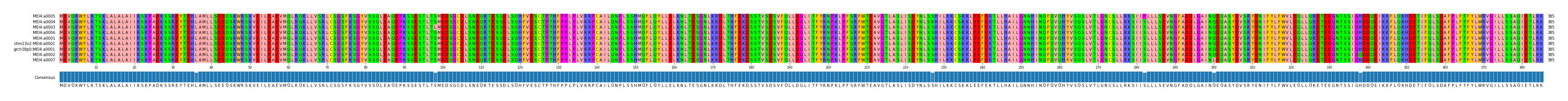 Multiple Alignments (by translate haplotype similarity)