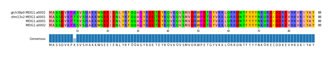 Multiple Alignments (by translate haplotype frequency)