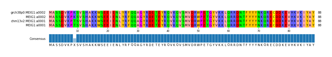 Multiple Alignments (by translate haplotype similarity)