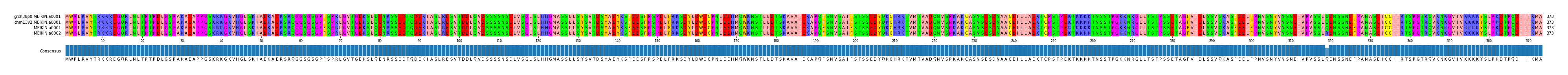 Multiple Alignments (by translate haplotype similarity)