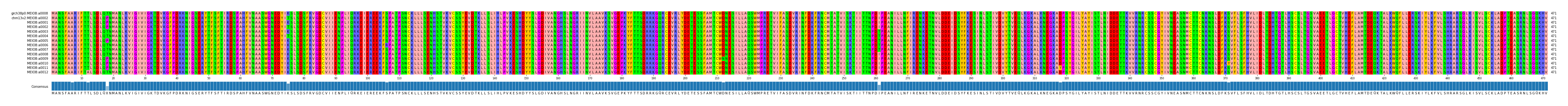 Multiple Alignments (by translate haplotype frequency)