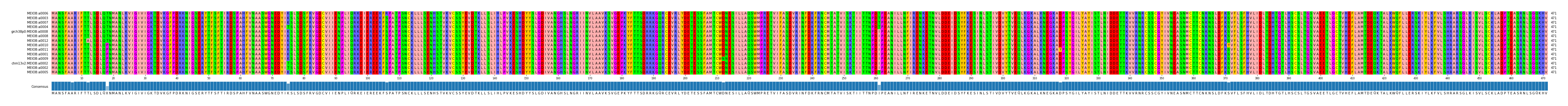 Multiple Alignments (by translate haplotype similarity)