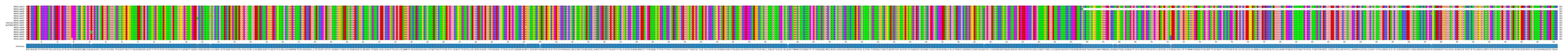 Multiple Alignments (by translate haplotype similarity)