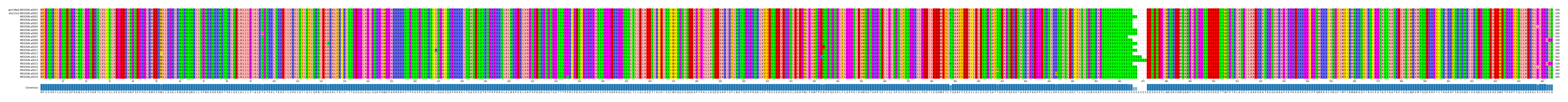 Multiple Alignments (by translate haplotype frequency)