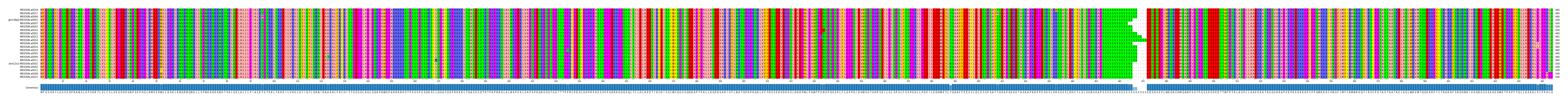 Multiple Alignments (by translate haplotype similarity)