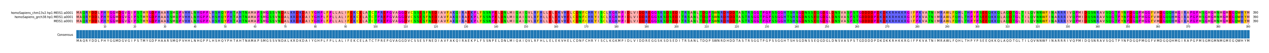 Multiple Alignments (by translate haplotype similarity)