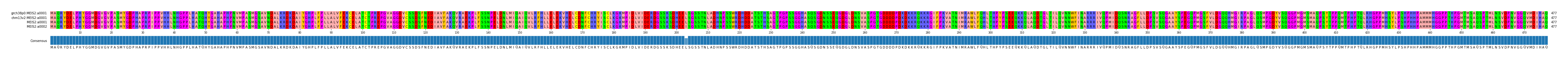 Multiple Alignments (by translate haplotype frequency)