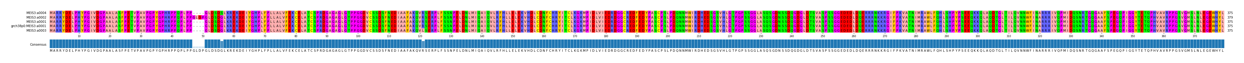 Multiple Alignments (by translate haplotype similarity)