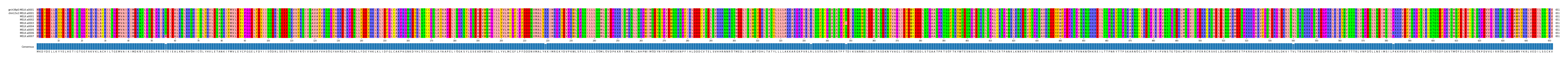 Multiple Alignments (by translate haplotype frequency)