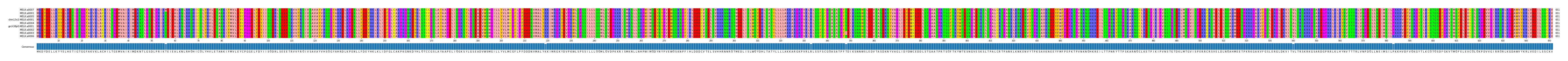 Multiple Alignments (by translate haplotype similarity)