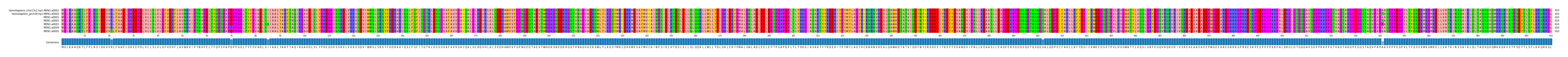 Multiple Alignments (by translate haplotype frequency)