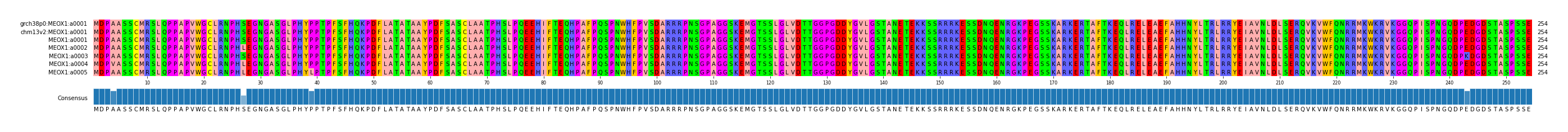 Multiple Alignments (by translate haplotype frequency)