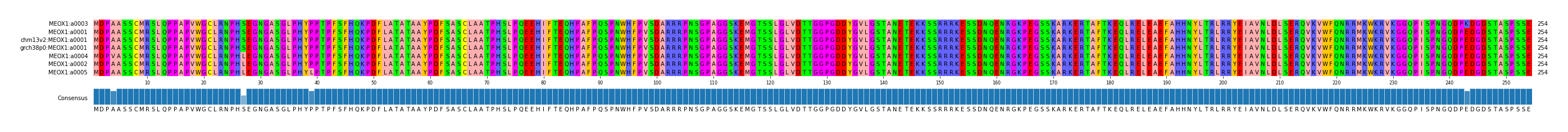 Multiple Alignments (by translate haplotype similarity)