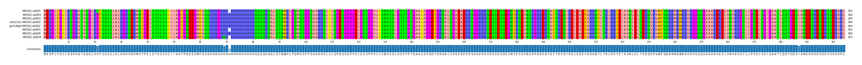 Multiple Alignments (by translate haplotype similarity)